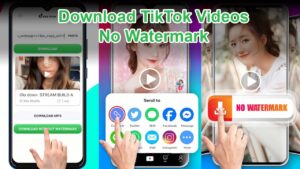 Method Save Video Tiktok No Watermark 2022 Using App or Without App